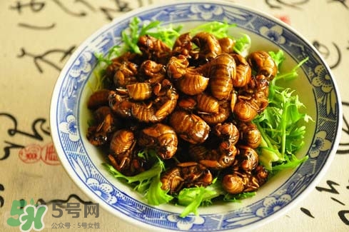 金蟬多少錢一斤？金蟬多少錢一斤2017？