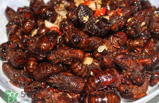 油炸知了猴幾分鐘？油炸知了猴怎么做好吃？