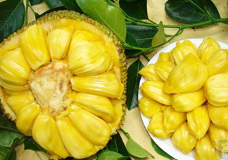 木菠蘿是菠蘿蜜嗎？木菠蘿是榴蓮嗎