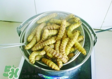 豆丹做菜前怎么處理干凈？豆丹怎么養(yǎng)殖