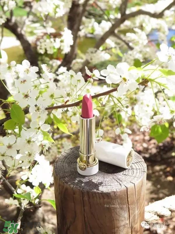 tatcha梅子粉好看嗎？tatcha白管口紅梅子粉試色