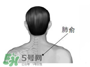 三伏貼能治過(guò)敏性鼻炎嗎？三伏貼治過(guò)敏性鼻炎貼哪里？