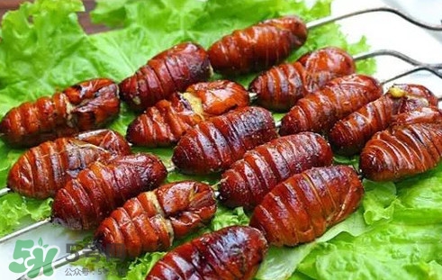 蟬蛹怎么處理？蟬蛹怎么保存