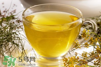 HS有機(jī)兒童茴香茶怎么用_說(shuō)明書