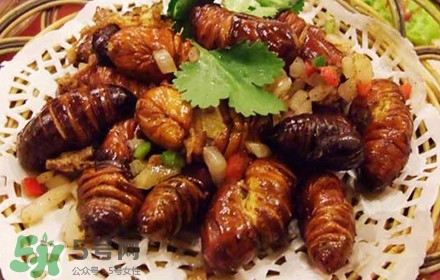 蟬蛹可以多吃嗎？蟬蛹多吃會怎么樣？