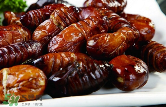 蟬蛹可以保存多長(zhǎng)時(shí)間？蟬蛹冰凍起來能保存多久