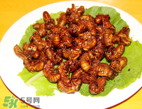 知了猴為什么要用鹽水泡？知了猴用鹽水泡多久？