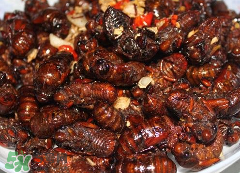 知了猴能淹死嗎？知了猴哪個部位不能吃？