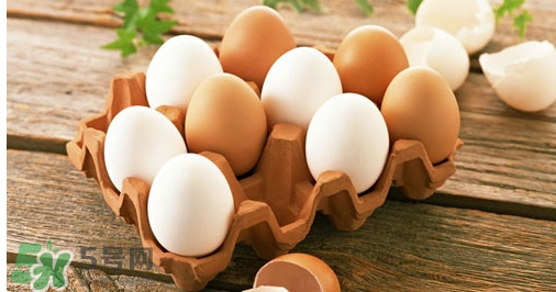 貼三伏貼可以吃雞蛋嗎？貼三伏貼能不能吃雞蛋