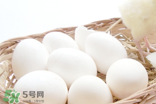 貼三伏貼可以吃雞蛋嗎？貼三伏貼能不能吃雞蛋