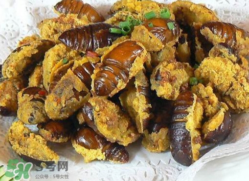 蟬蛹怎么處理？蟬蛹怎么保存