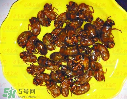 知了猴能淹死嗎？知了猴哪個部位不能吃？