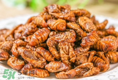 蟬蛹可以多吃嗎？蟬蛹多吃會怎么樣？