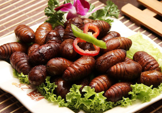 知了猴能淹死嗎？知了猴哪個部位不能吃？