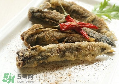 彈涂魚是兩棲動物嗎？彈涂魚營養(yǎng)價值有哪些