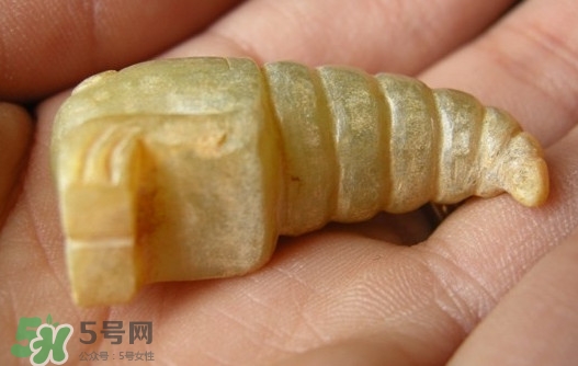 蟬蛹能吃嗎？蟬蛹怎么做好吃