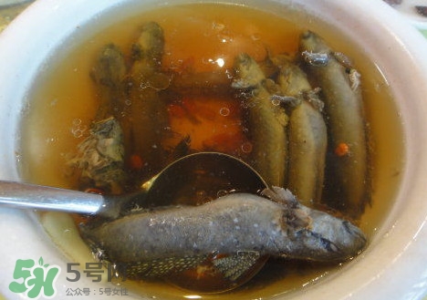 跳跳魚(yú)多少錢一斤？跳跳魚(yú)是淡水魚(yú)嗎？