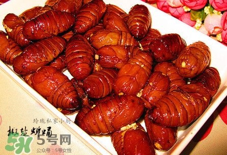 蟬蛹有寄生蟲嗎？蟬蛹有毒嗎