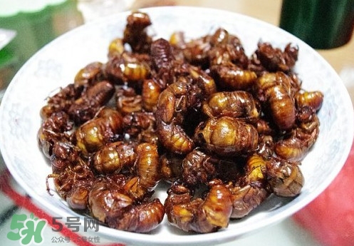 蟬蛹什么人不能吃？蟬蛹不能和什么一起吃