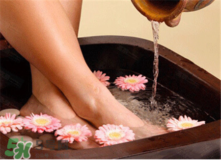 三伏天用艾葉泡腳好嗎？三伏天泡腳的禁忌