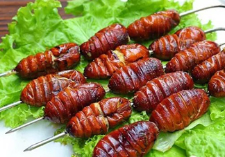 蟬蛹怎么處理？蟬蛹怎么保存