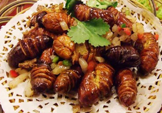 蟬蛹可以保存多長(zhǎng)時(shí)間？蟬蛹冰凍起來(lái)能保存多久