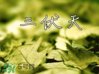 三伏天怎么坐月子？三伏天坐月子要注意什么？