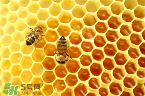 三伏貼能治過(guò)敏性鼻炎嗎？三伏貼治過(guò)敏性鼻炎貼哪里？