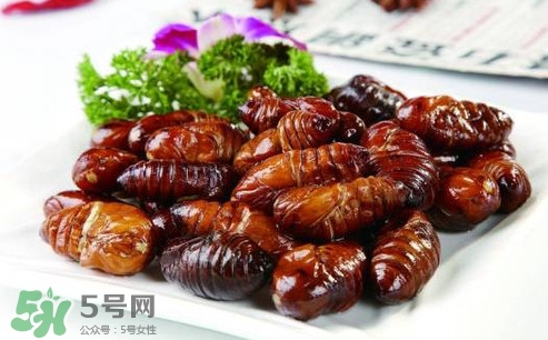 蟬蛹什么人不能吃？蟬蛹不能和什么一起吃