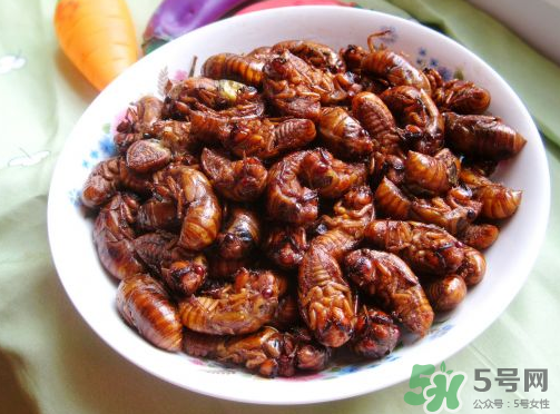 知了猴吃多了好不好？知了猴吃多了會怎么樣？