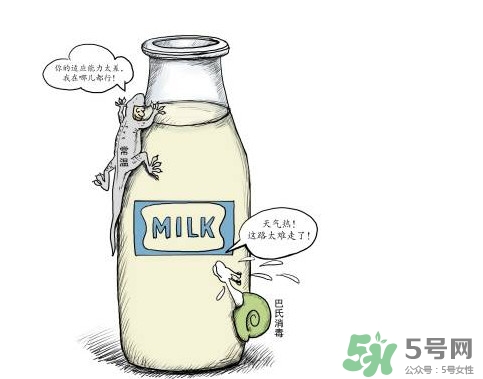 巴氏奶可以加熱嗎？巴氏奶常溫能放多久