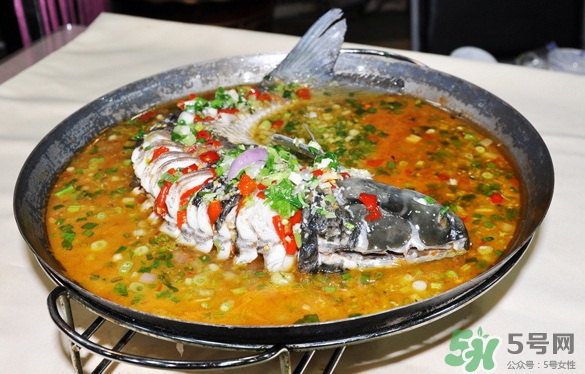 三伏灸可以吃魚(yú)嗎？三伏灸可以吃什么魚(yú)？