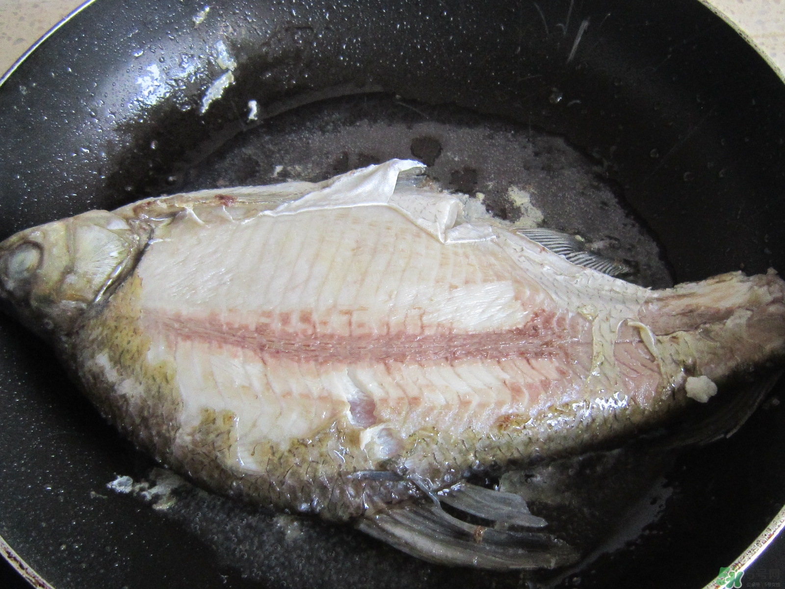 三伏灸可以吃魚(yú)嗎？三伏灸可以吃什么魚(yú)？