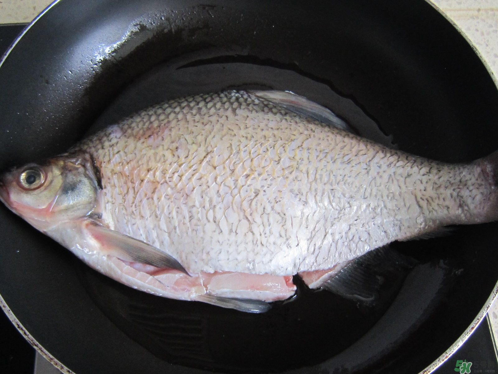 三伏灸可以吃魚(yú)嗎？三伏灸可以吃什么魚(yú)？