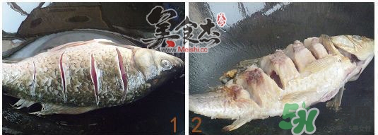 三伏灸可以吃魚(yú)嗎？三伏灸可以吃什么魚(yú)？