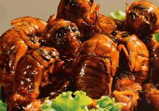 吃知了猴有什么好處？吃知了猴的好處與壞處