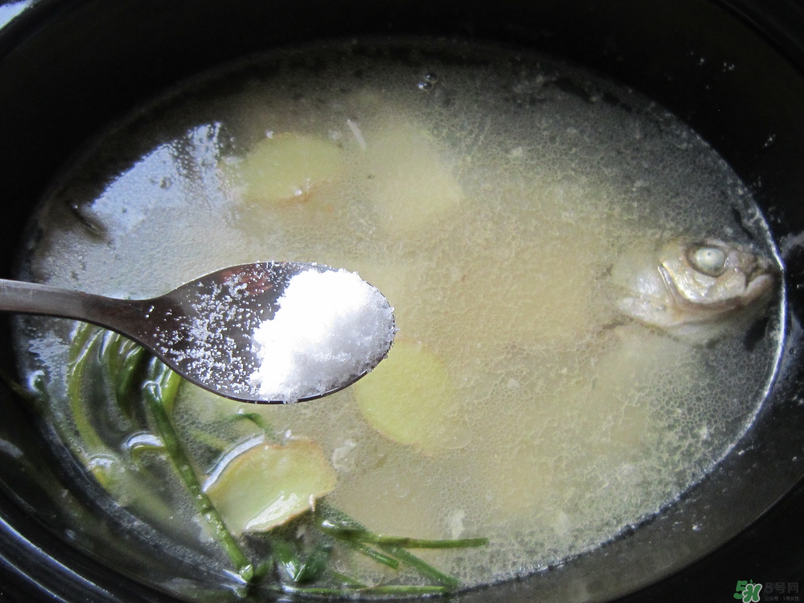 三伏灸可以吃魚(yú)嗎？三伏灸可以吃什么魚(yú)？