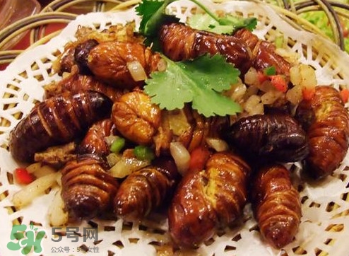 幼蟬猴怎么做好吃？幼蟬猴有什么營養(yǎng)價(jià)值