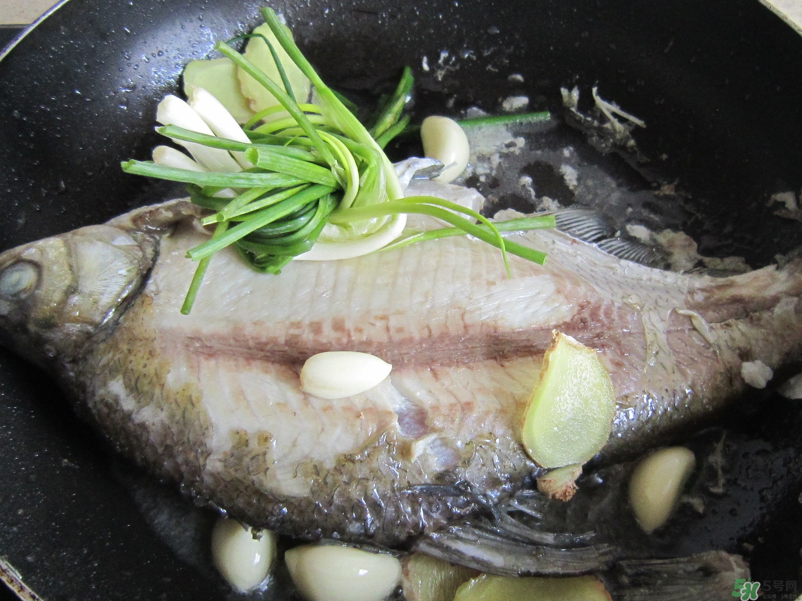 三伏灸可以吃魚(yú)嗎？三伏灸可以吃什么魚(yú)？