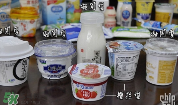 什么牌子的酸奶好？每天喝酸奶好還是純牛奶好