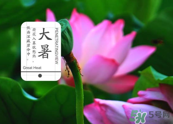 大暑和處暑是什么意思？大暑熱還是處暑熱？