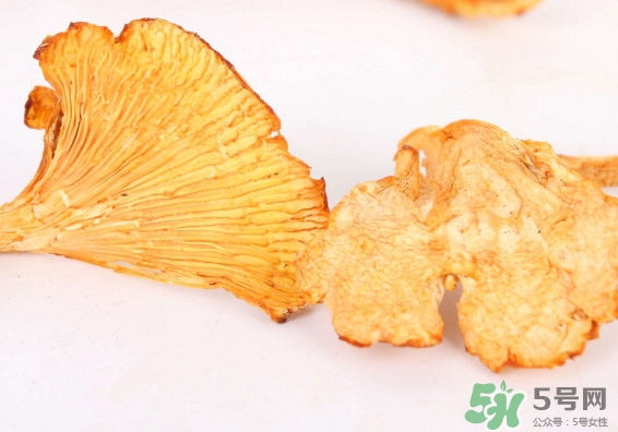 雞油菌多少錢(qián)一斤？雞油菌和雞樅菌有什么區(qū)別