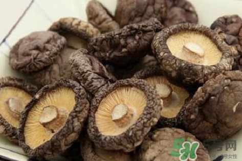 香菇是蘑菇嗎？香菇和蘑菇有什么區(qū)別