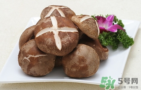 香菇是發(fā)物嗎？香菇是干的好還是新鮮的好