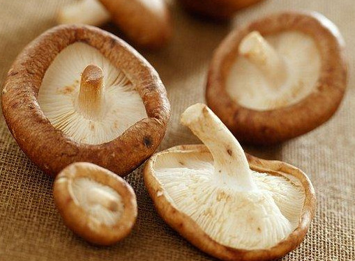 干香菇為什么比鮮香菇味道好？香菇為什么要曬干了再泡來吃