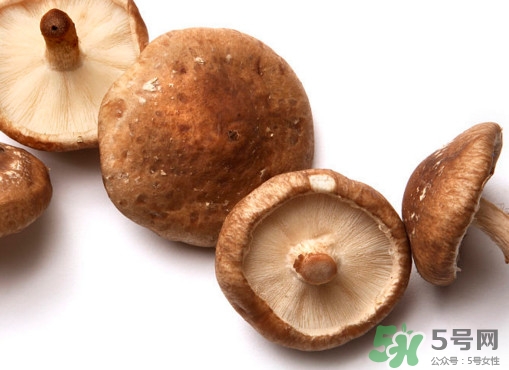 香菇是蘑菇嗎？香菇和蘑菇有什么區(qū)別
