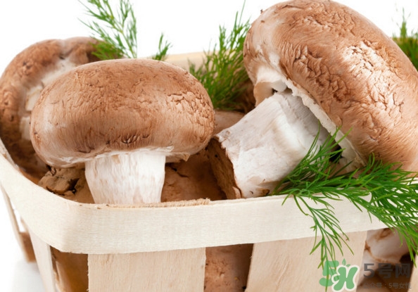 買香菇怎么挑選？干香菇怎么挑選？