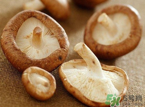 買香菇怎么挑選？干香菇怎么挑選？