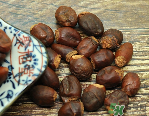 龍眼核能種嗎？龍眼核怎么種盆栽