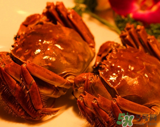 六月黃大閘蟹好吃嗎？六月黃和大閘蟹有什么區(qū)別？